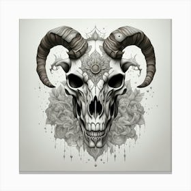 Skull Of A Ram Canvas Print