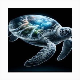 Turtle in the dark  Canvas Print