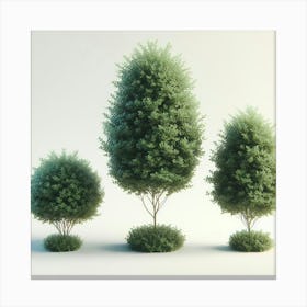 Three Trees 1 Canvas Print