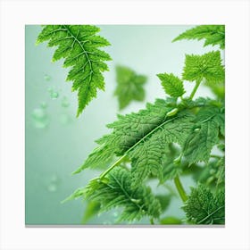 Green Leaves With Water Droplets Canvas Print