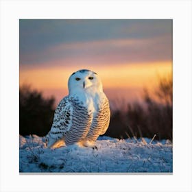 Firefly Majestic Snowy Owl In Serene Winter Sunrise 74383 (2) Canvas Print