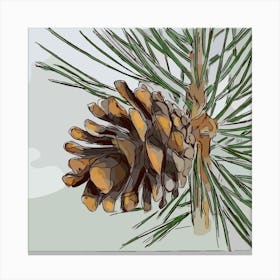 Cone Pine Tree Coniferous Branch Canvas Print