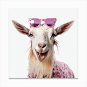 Goat In Sunglasses Canvas Print