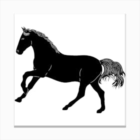 Horse Galloping 1 Canvas Print