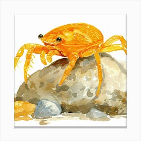 Orange Crab Canvas Print