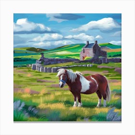 Scotland Pony Canvas Print