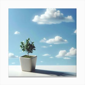 Potted Plant In A Pot Canvas Print