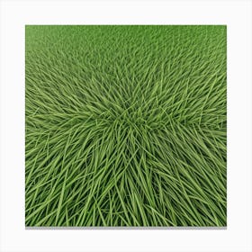 Grass Background 11 Canvas Print