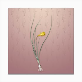 Vintage Daffodil Botanical on Dusty Pink Pattern Canvas Print