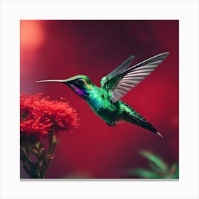 Hummingbird Canvas Print