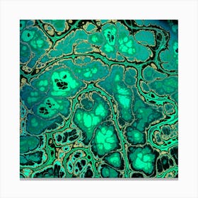 Florescence Canvas Print