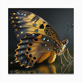 Butterfly 5 Canvas Print