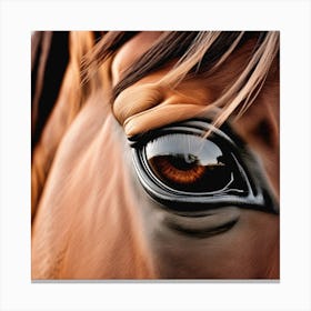 Eye Of A Horse 20 Canvas Print