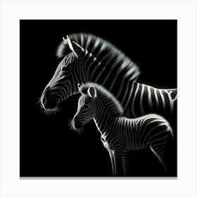 Zebra And Foal 3 Canvas Print