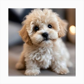 Small Puppy Canvas Print