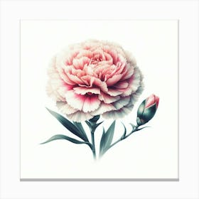 Carnation Flower 4 Canvas Print