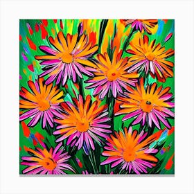 Aster Flowers 20 Canvas Print