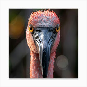 Flamingo 33 Canvas Print