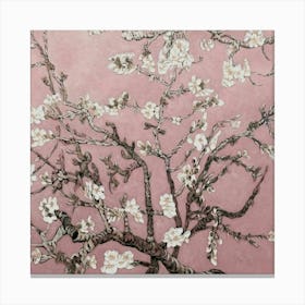 Almond Blossom Canvas Print