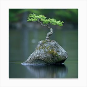 Bonsai Tree Canvas Print