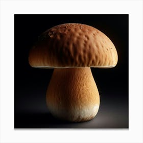 Mushroom On Black Background Canvas Print