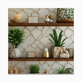 Decorative Shelves 1 Canvas Print