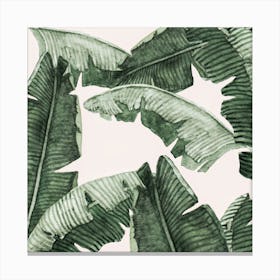 Under Palm Leaves2 Canvas Print