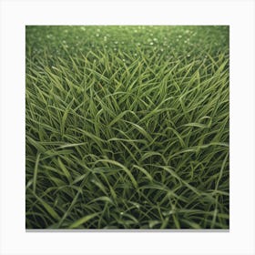 Grass Background 38 Canvas Print