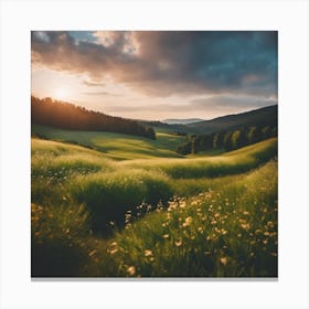 Sunset In The Meadow 2 Canvas Print