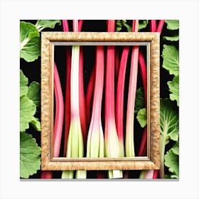 Rhubarb In A Frame 2 Canvas Print