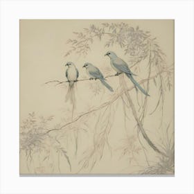 Three Birds On A Branch, Vintage Wall Art Print Canvas Print
