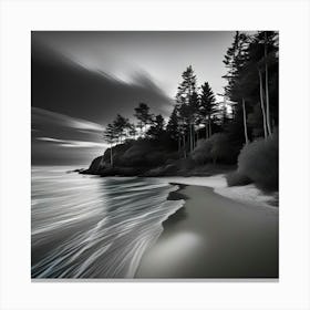 Black And White Photography 20 Canvas Print