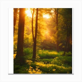 Sunrise In The Forest 4 Canvas Print