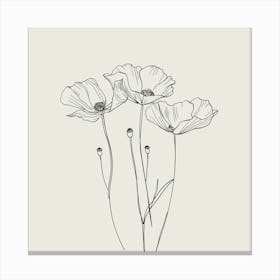 Poppies 76 Canvas Print