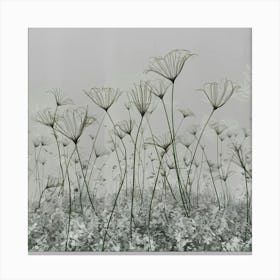 Field Of Flowers Canvas Print