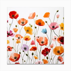 Poppy 3 Canvas Print