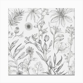 Black And White Florals Canvas Print