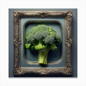 Broccoli In A Frame 24 Canvas Print