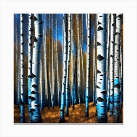 Birch Trees 18 Canvas Print