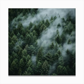 Fog In The Forest Canvas Print