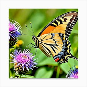 Swallowtail Butterfly 2 Canvas Print