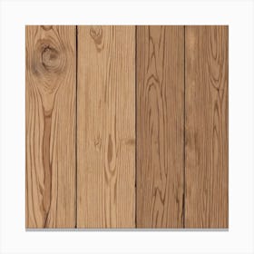 Wood Planks 3 Canvas Print