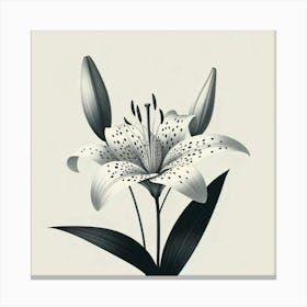 Lily Creative Art Canvas Print