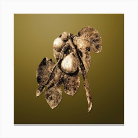 Gold Botanical Fig Branch on Dune Yellow n.4526 Canvas Print
