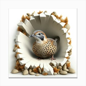 Quail Peeking Through A Hole 3 Canvas Print