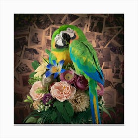 Parrots Canvas Print