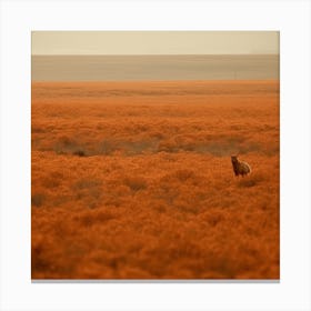 Burnt Orange Vast Nothingness Canvas Print