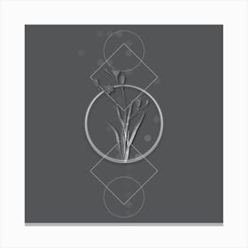 Vintage Ixia Bulbifera Botanical with Line Motif and Dot Pattern in Ghost Gray n.0359 Canvas Print