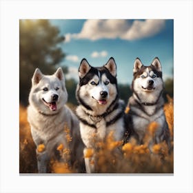 Siberian Husky love Canvas Print
