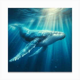 Humpback Whale 7 Canvas Print